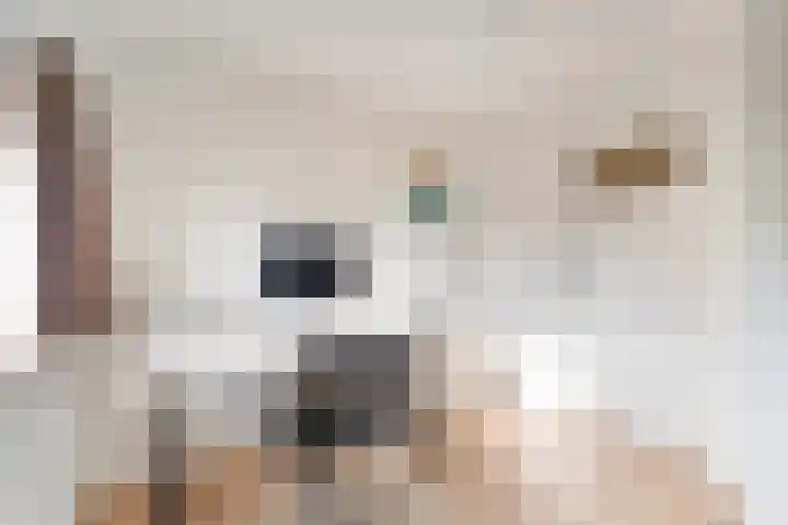 Berlagelaan 105 Hilversum thumbnail 22