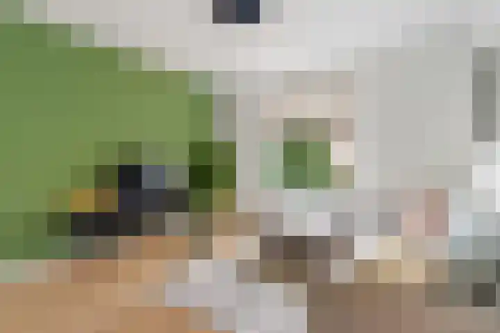Berlagelaan 105 Hilversum thumbnail 4