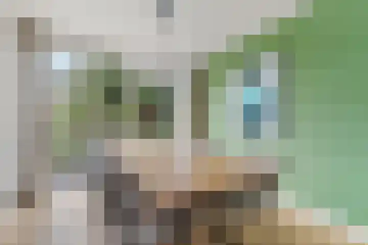 Berlagelaan 105 Hilversum thumbnail 6