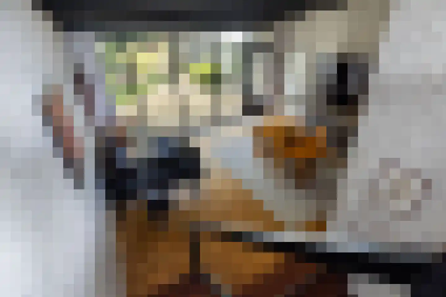 Berlagelaan 117 Bilthoven thumbnail 11