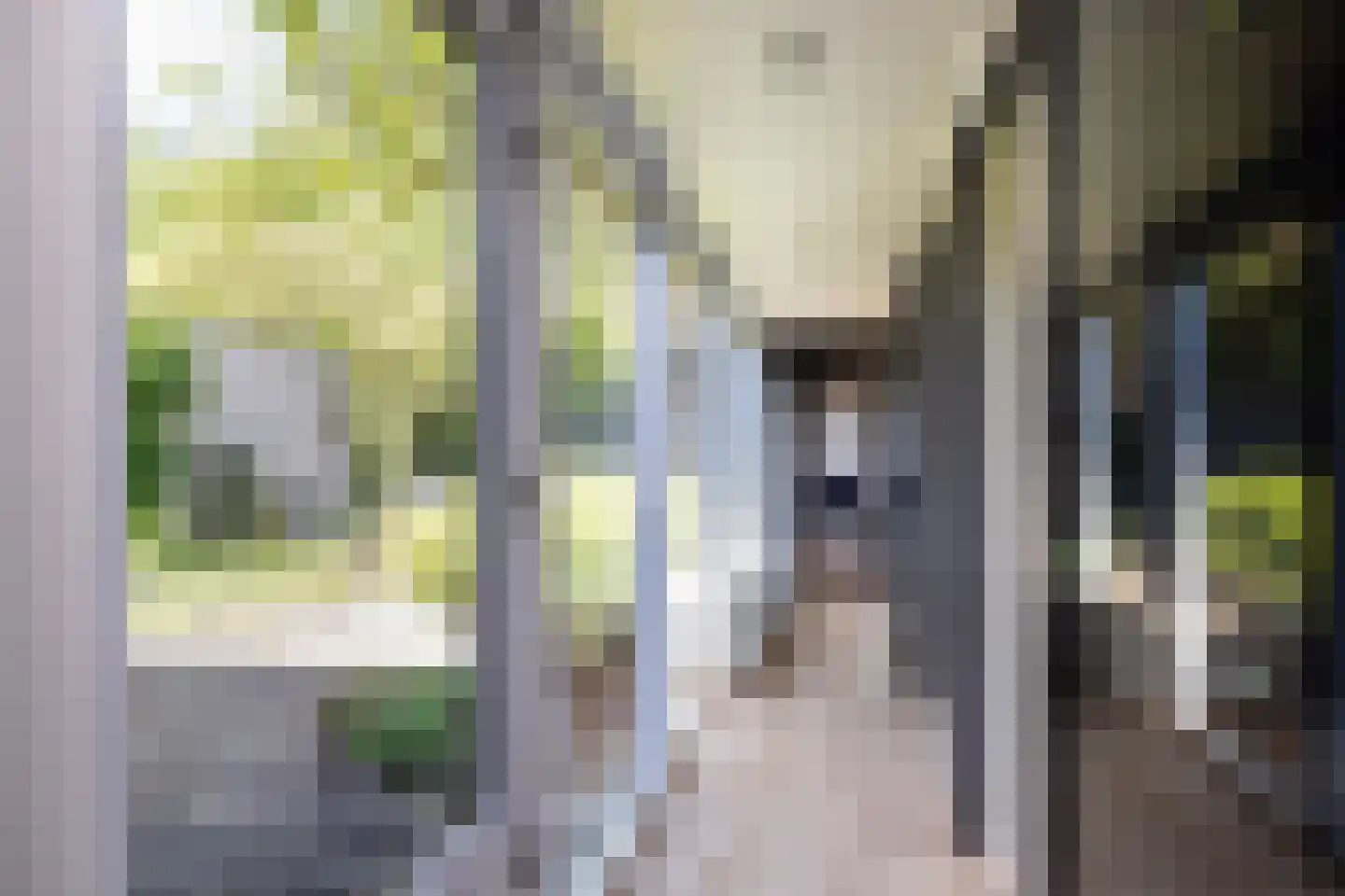 Berlagelaan 117 Bilthoven thumbnail 12