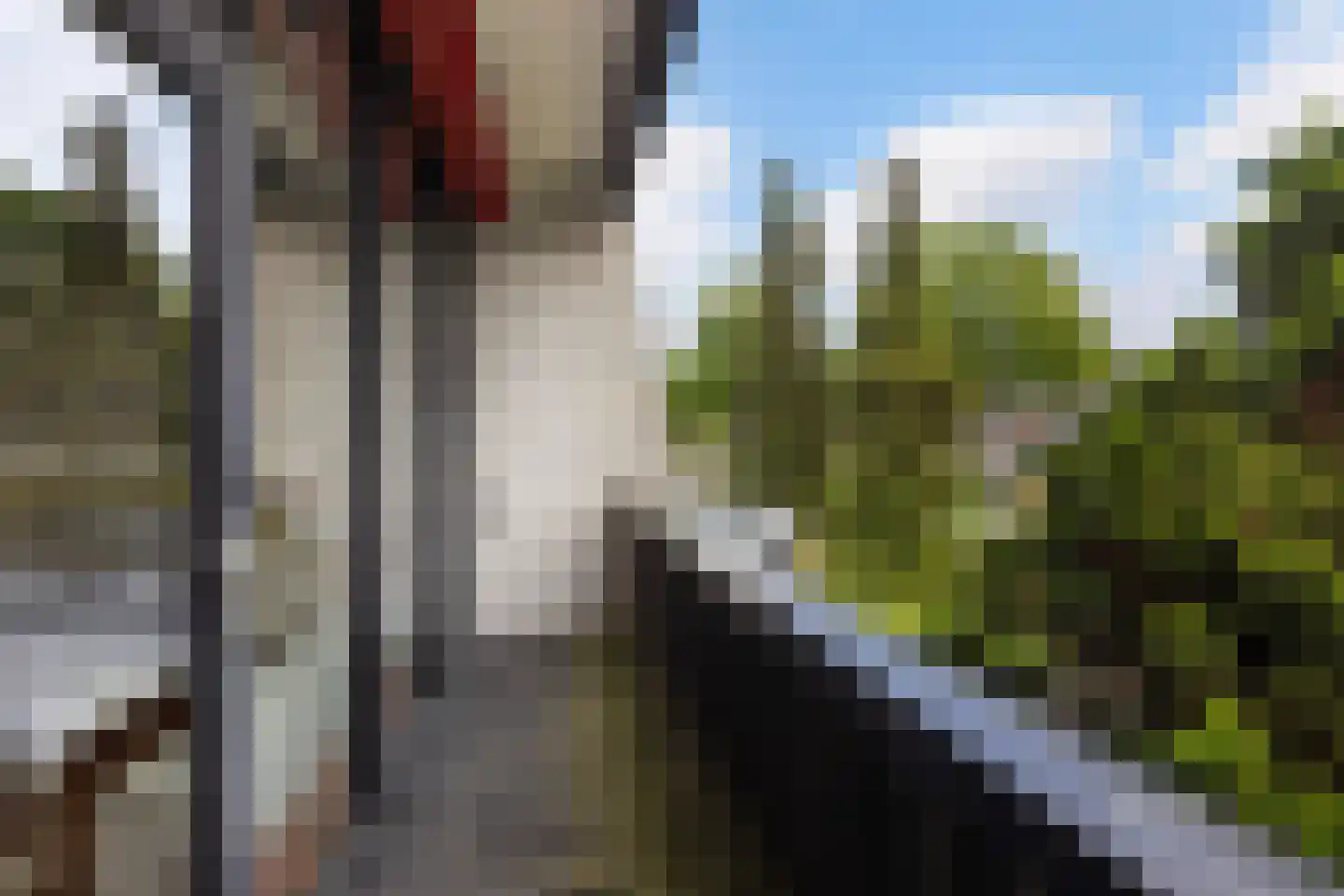 Berlagelaan 117 Bilthoven thumbnail 22