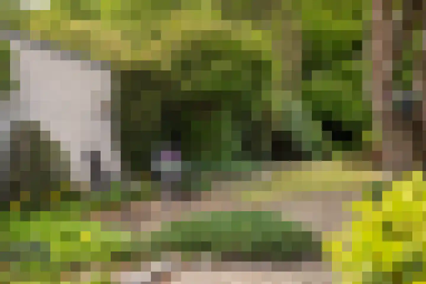 Berlagelaan 117 Bilthoven thumbnail 24