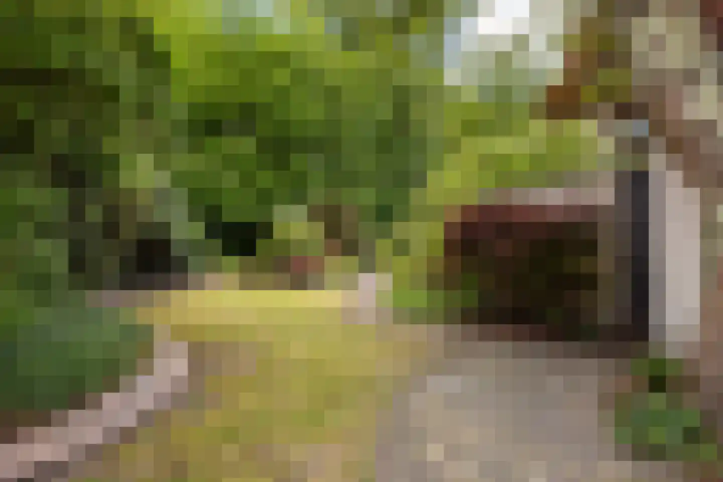 Berlagelaan 117 Bilthoven thumbnail 25