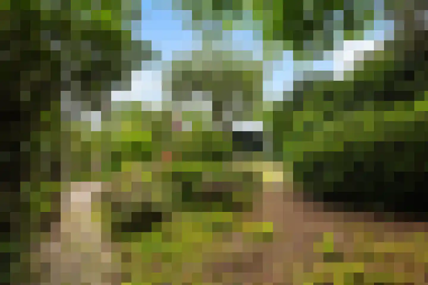 Berlagelaan 117 Bilthoven thumbnail 26