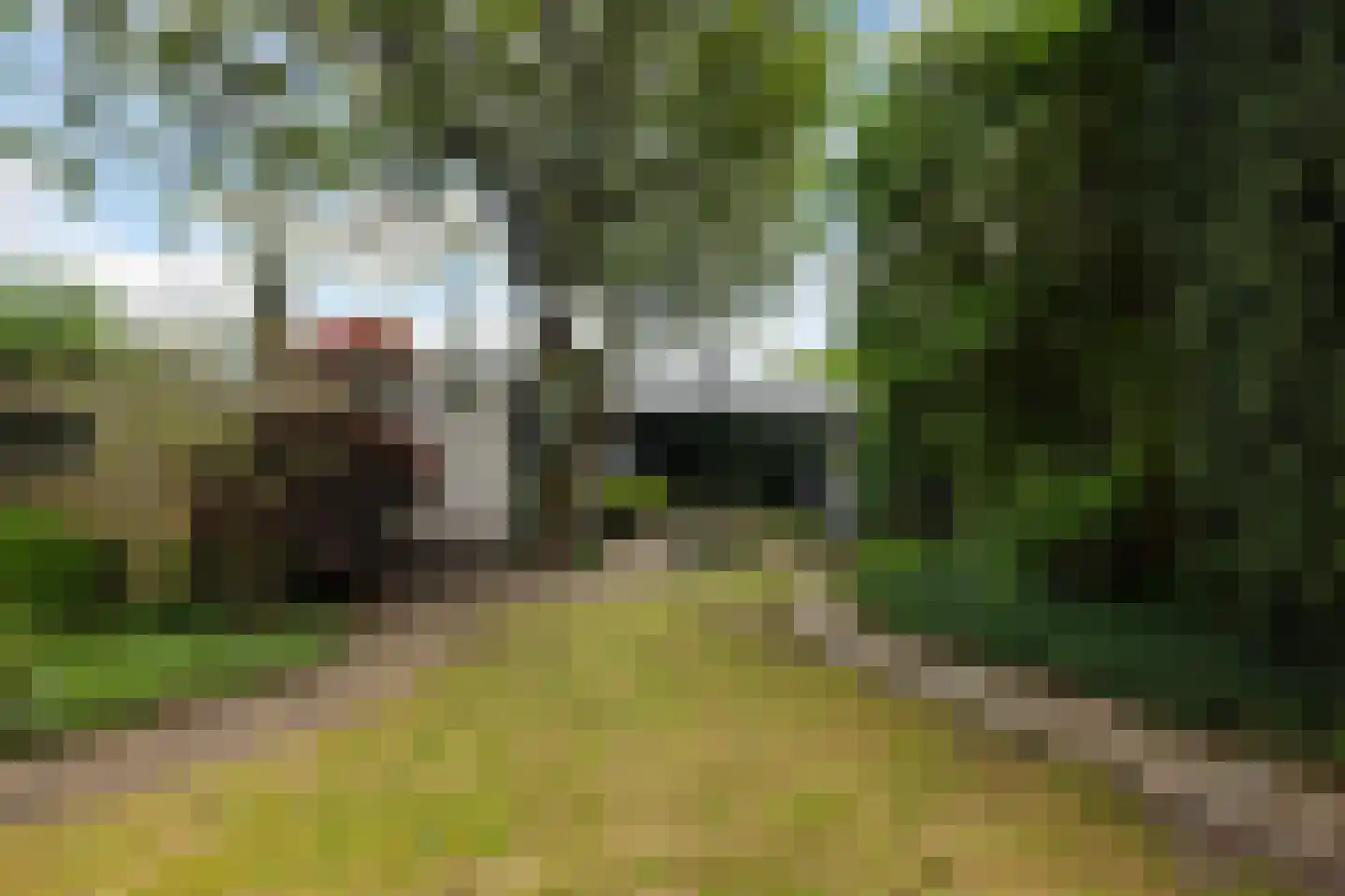 Berlagelaan 117 Bilthoven thumbnail 27
