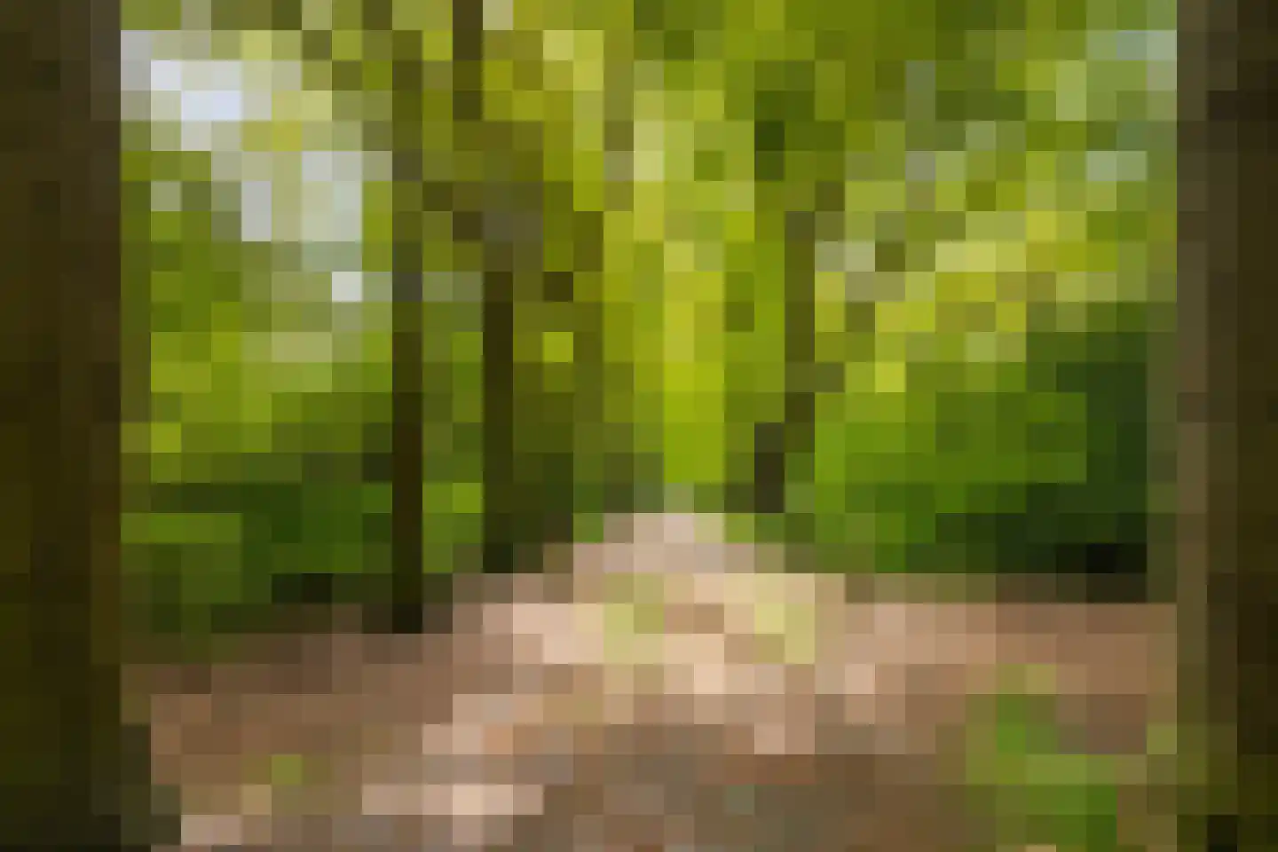 Berlagelaan 117 Bilthoven thumbnail 32