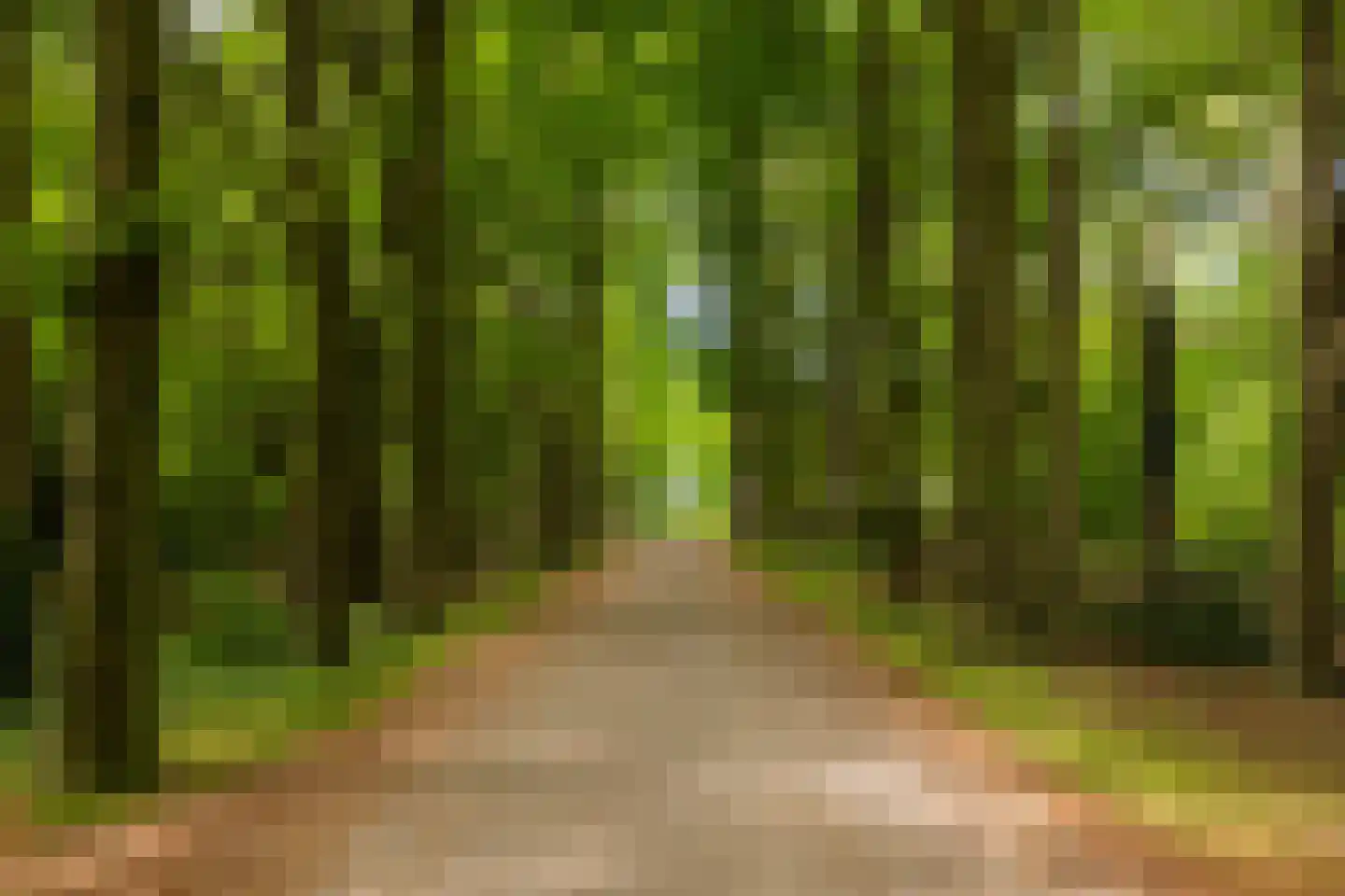 Berlagelaan 117 Bilthoven thumbnail 33