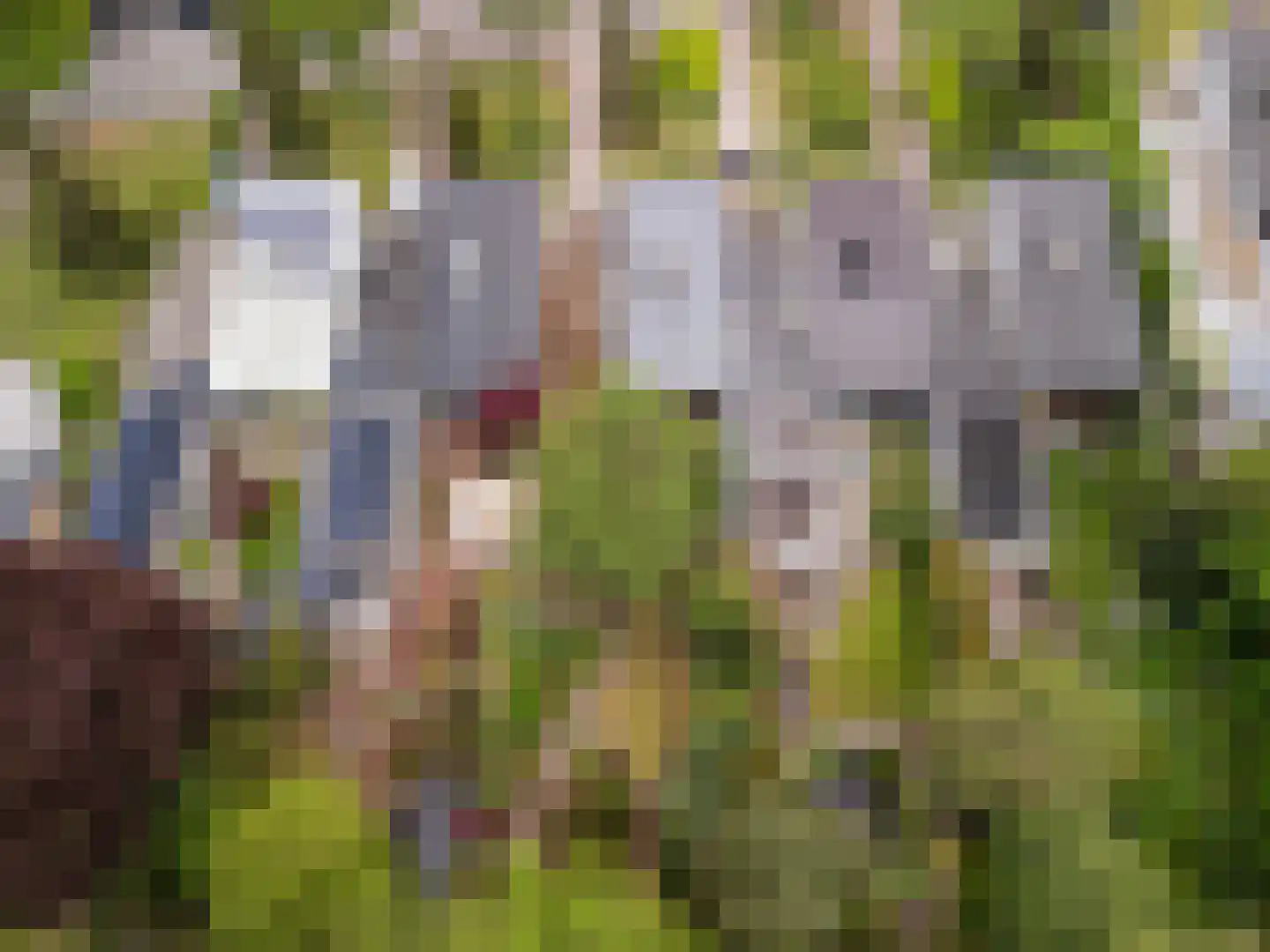 Berlagelaan 117 Bilthoven thumbnail 35