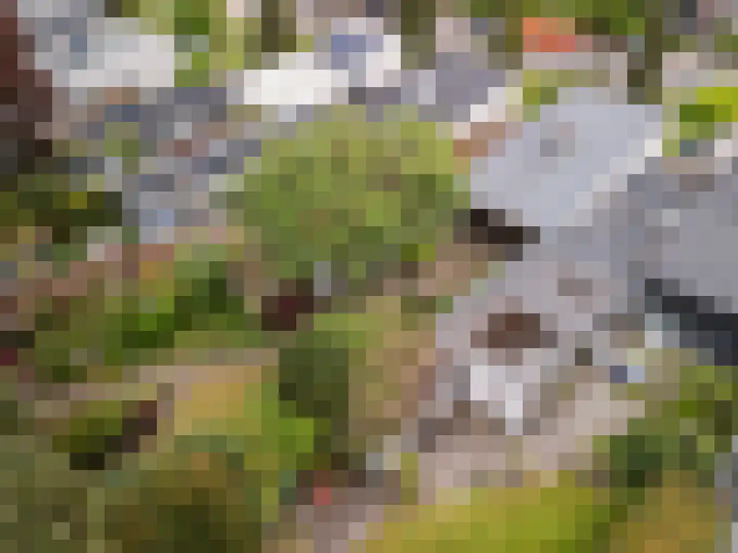Berlagelaan 117 Bilthoven thumbnail 36