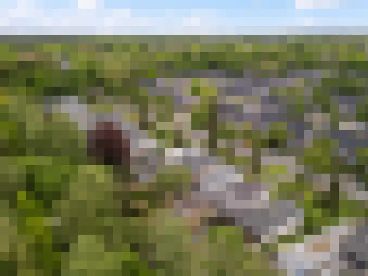 Berlagelaan 117 Bilthoven thumbnail 38