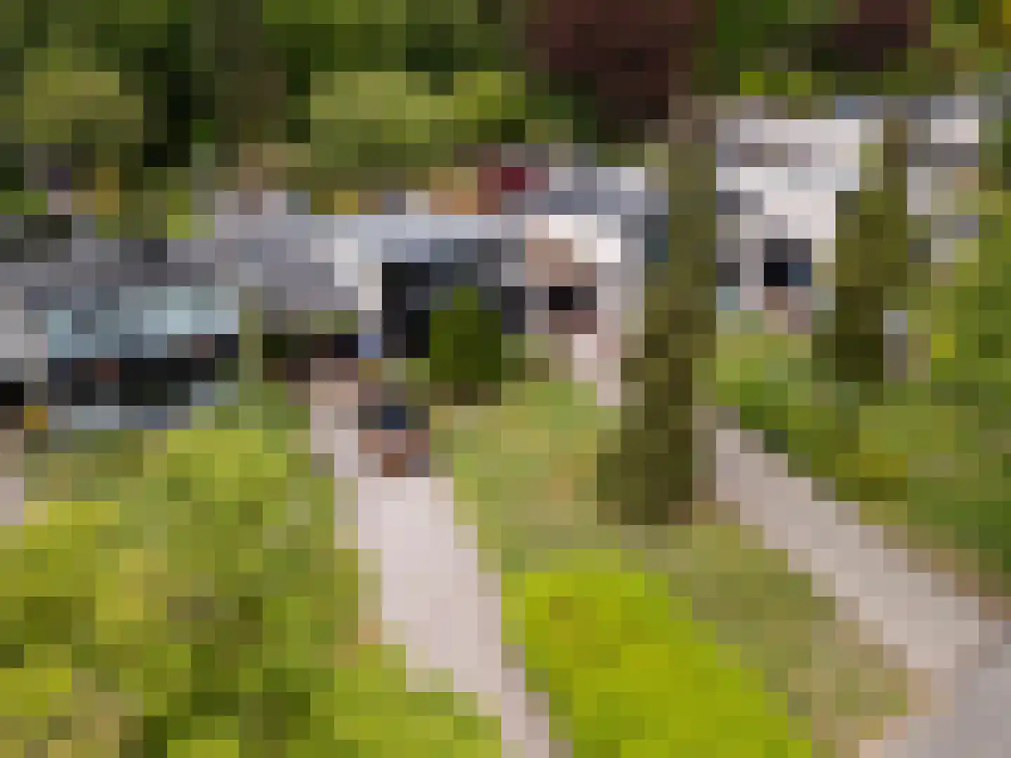 Berlagelaan 117 Bilthoven thumbnail 40
