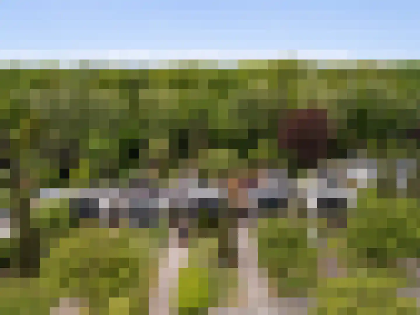 Berlagelaan 117 Bilthoven thumbnail 41