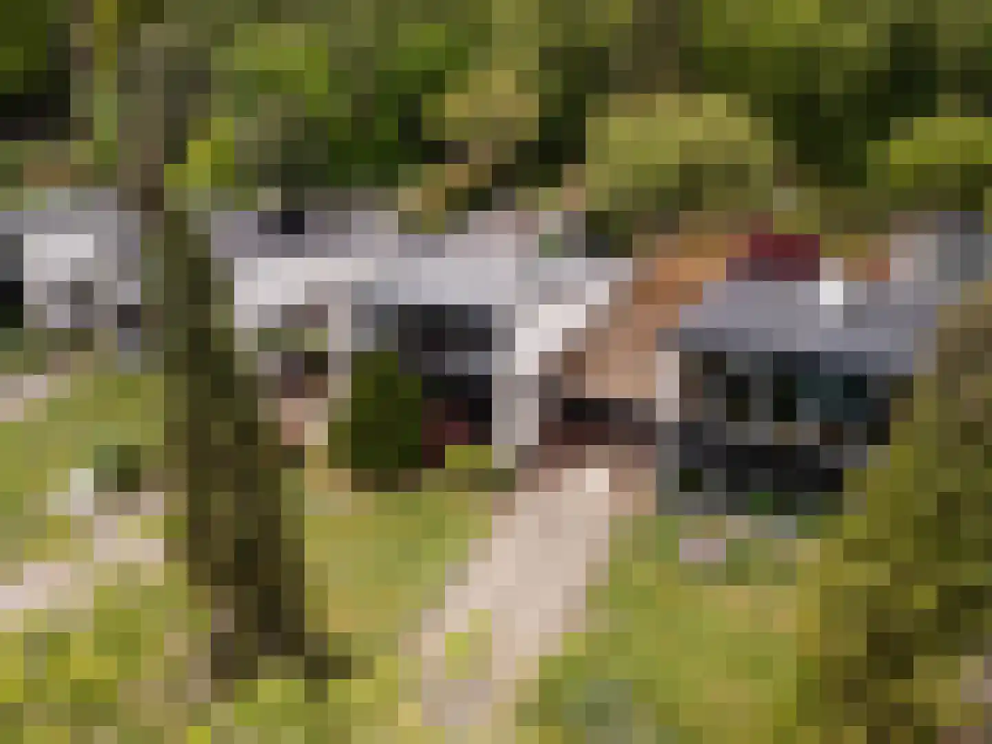 Berlagelaan 117 Bilthoven thumbnail 43