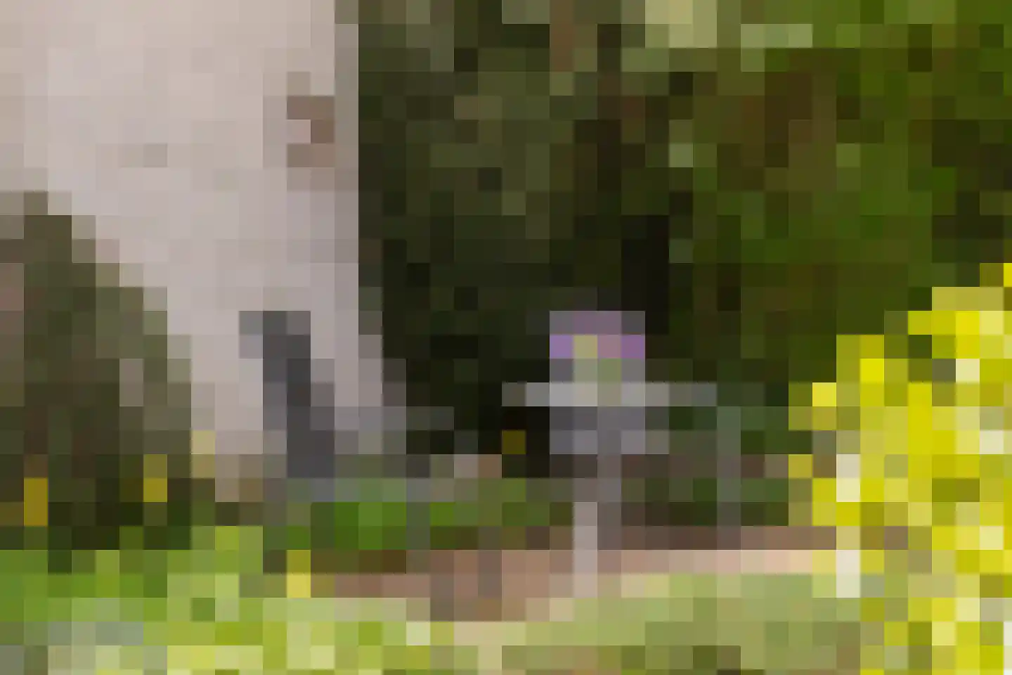 Berlagelaan 117 Bilthoven thumbnail 46