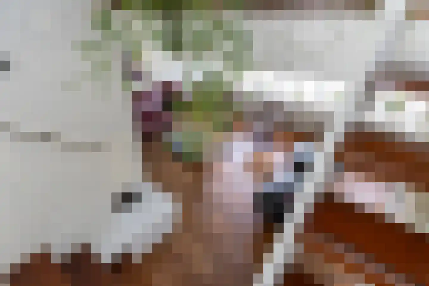 Berlagelaan 121 Bilthoven thumbnail 12