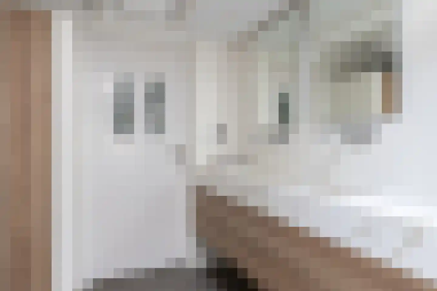 Berlagelaan 121 Bilthoven thumbnail 33