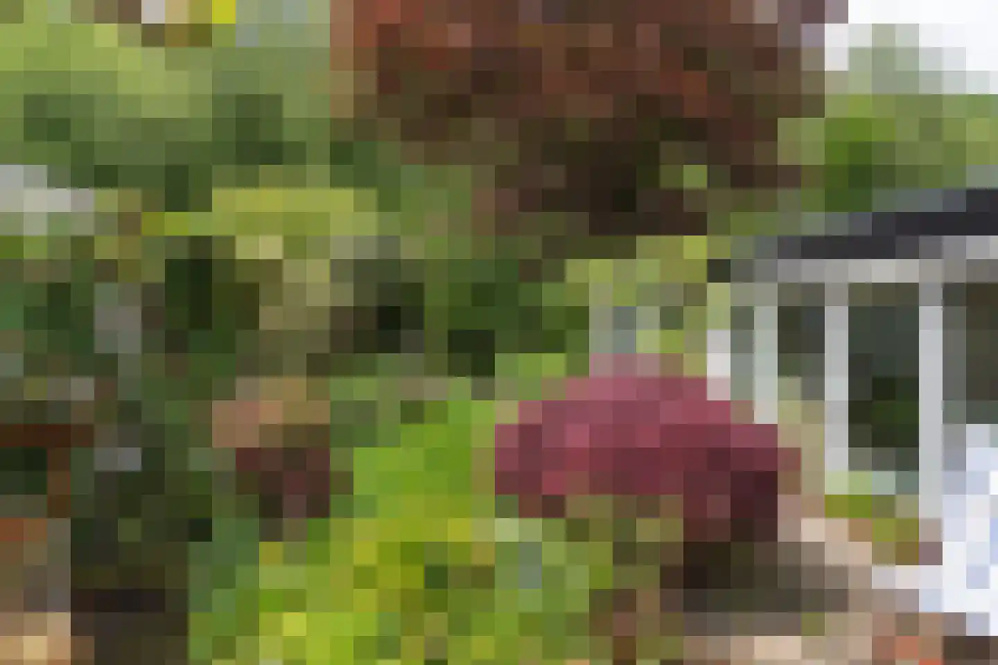 Berlagelaan 121 Bilthoven thumbnail 35