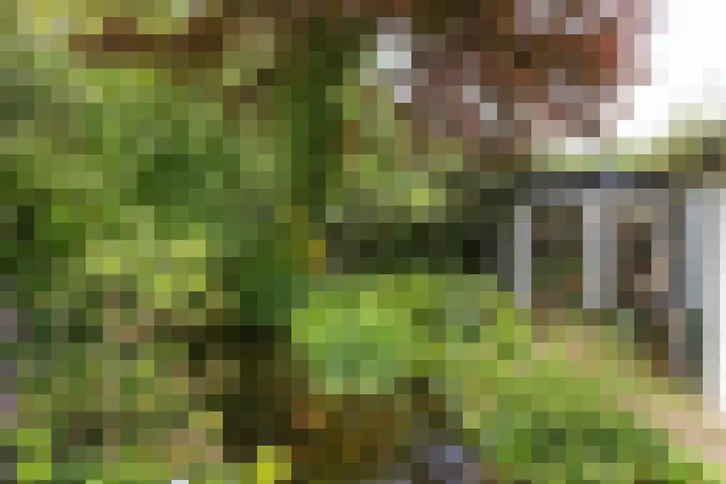 Berlagelaan 121 Bilthoven thumbnail 37