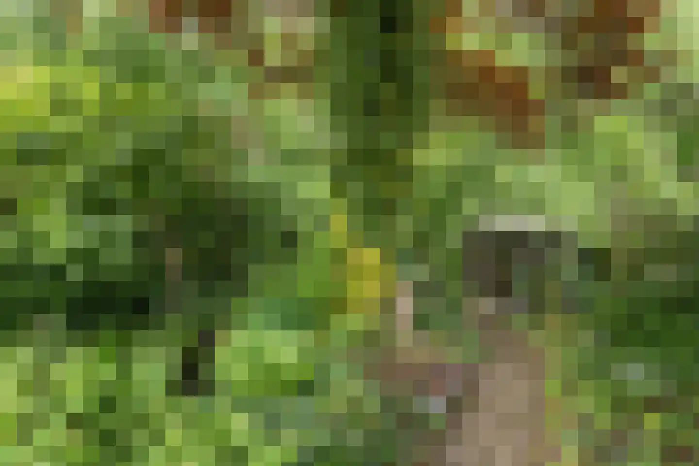 Berlagelaan 121 Bilthoven thumbnail 39