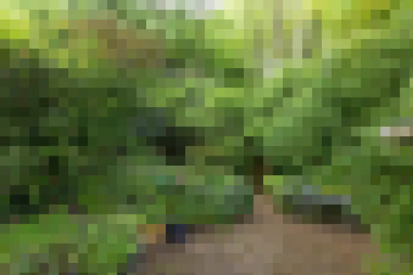 Berlagelaan 121 Bilthoven thumbnail 40
