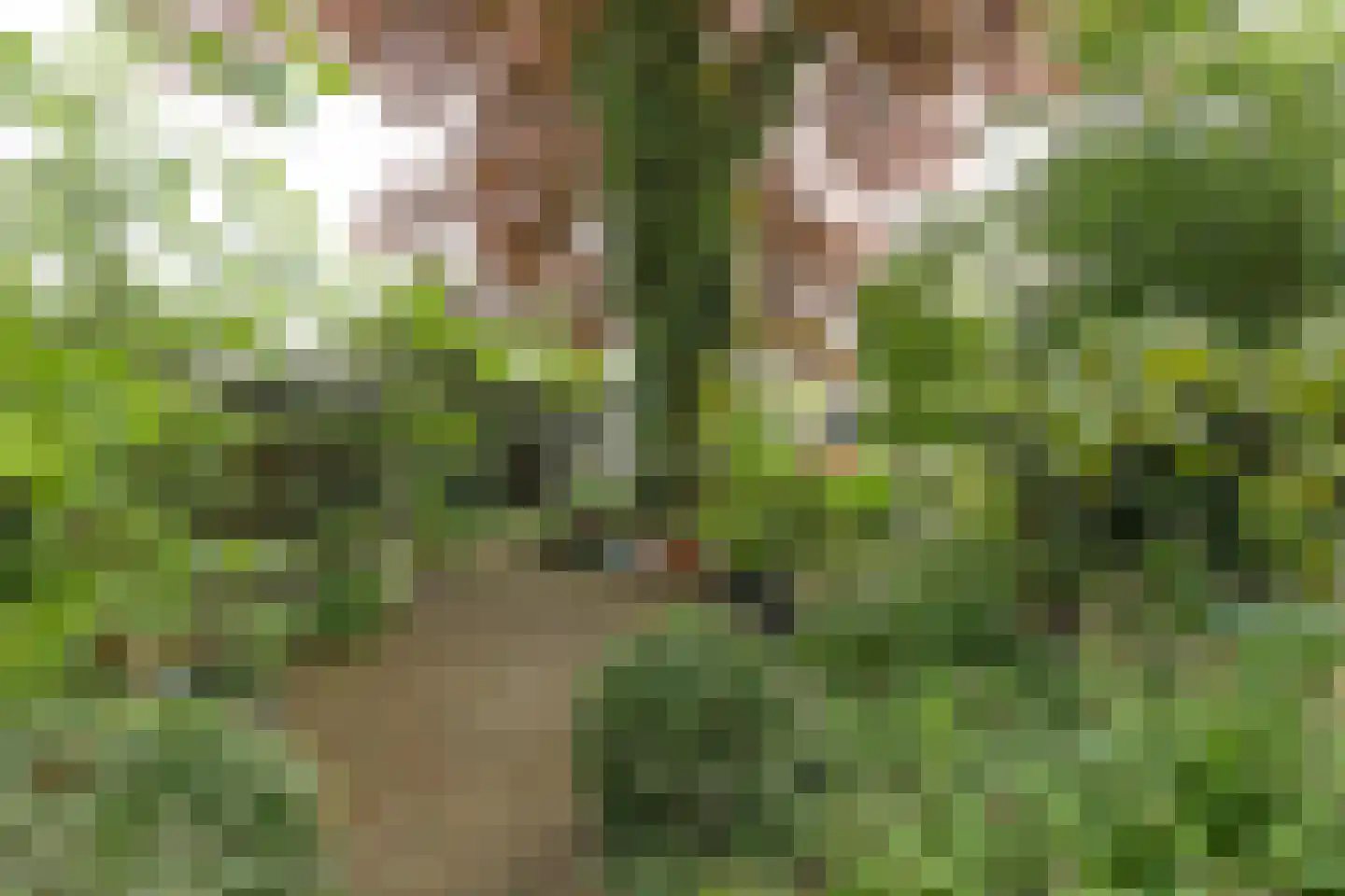 Berlagelaan 121 Bilthoven thumbnail 41