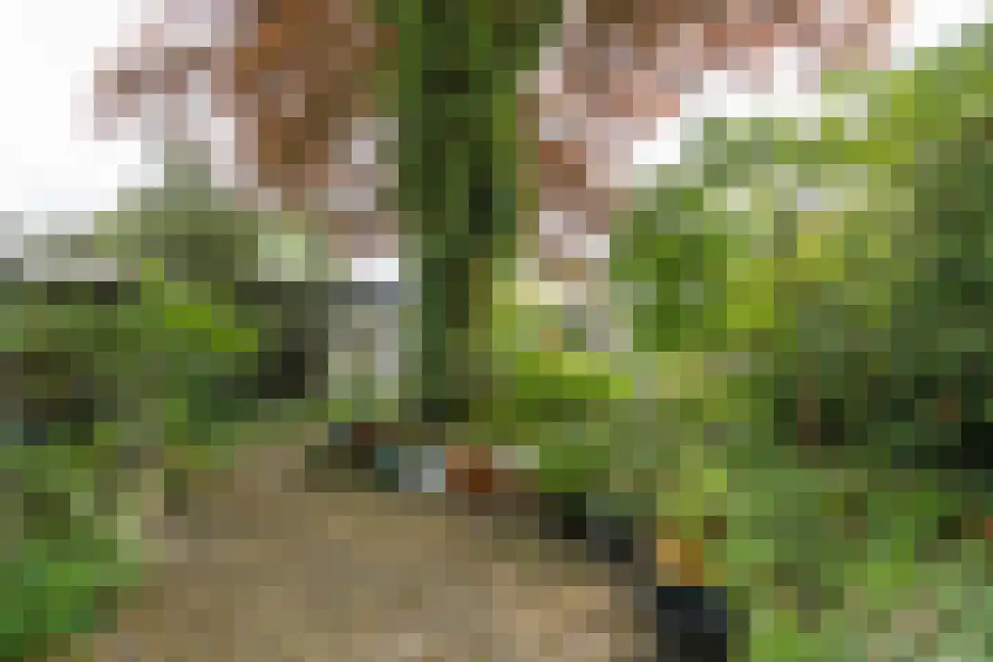 Berlagelaan 121 Bilthoven thumbnail 42