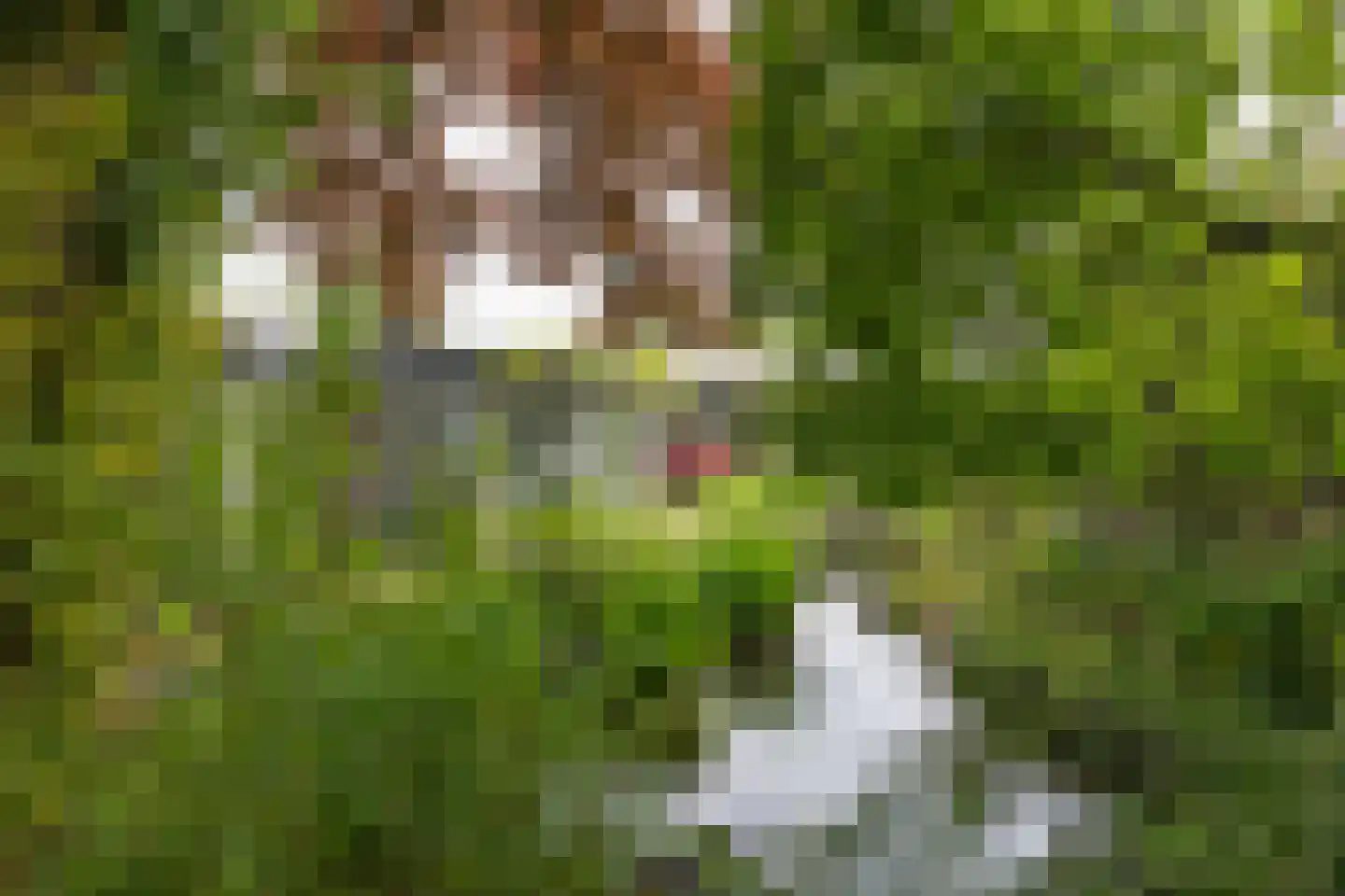Berlagelaan 121 Bilthoven thumbnail 43
