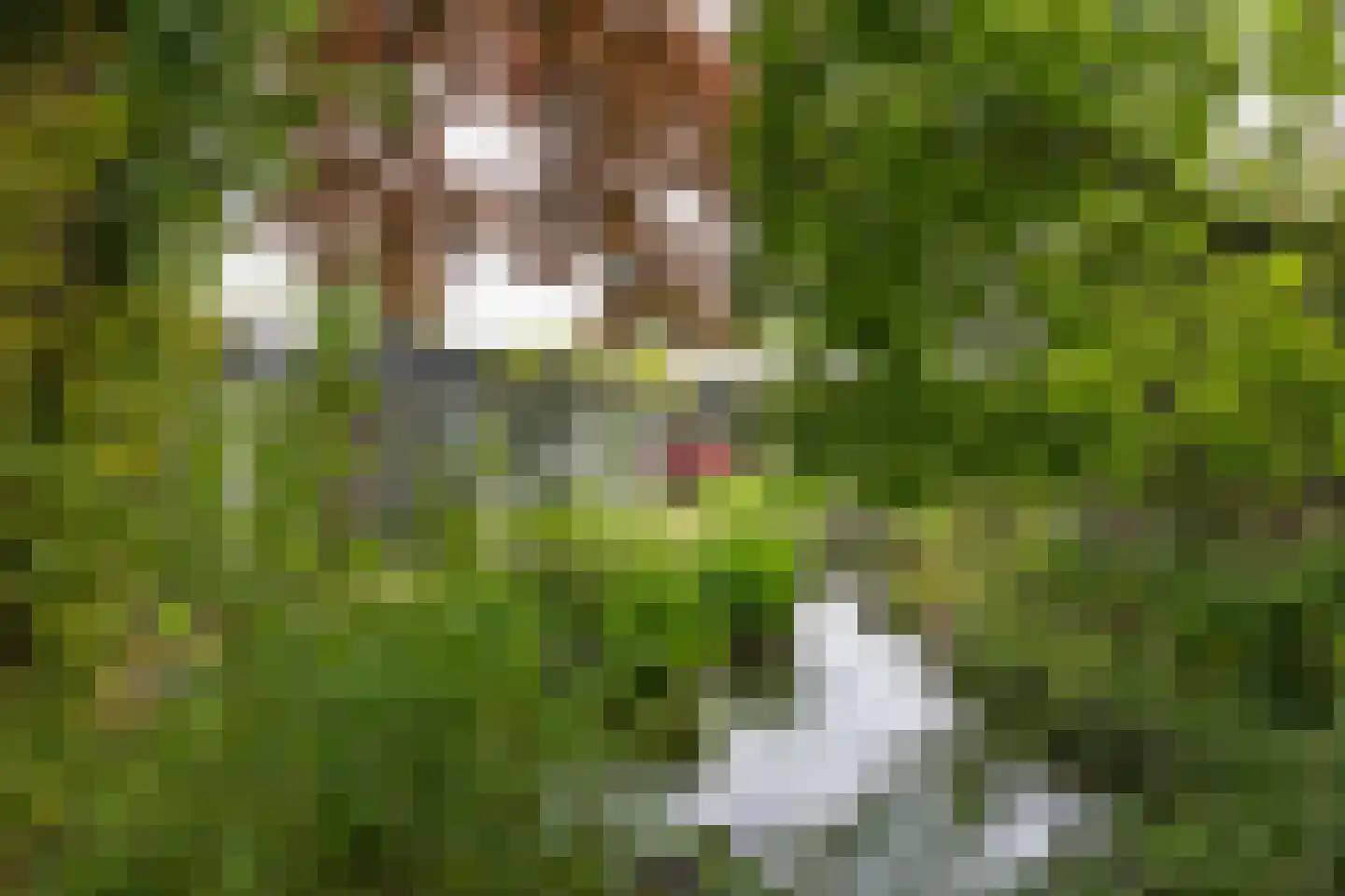 Berlagelaan 121 Bilthoven thumbnail 43