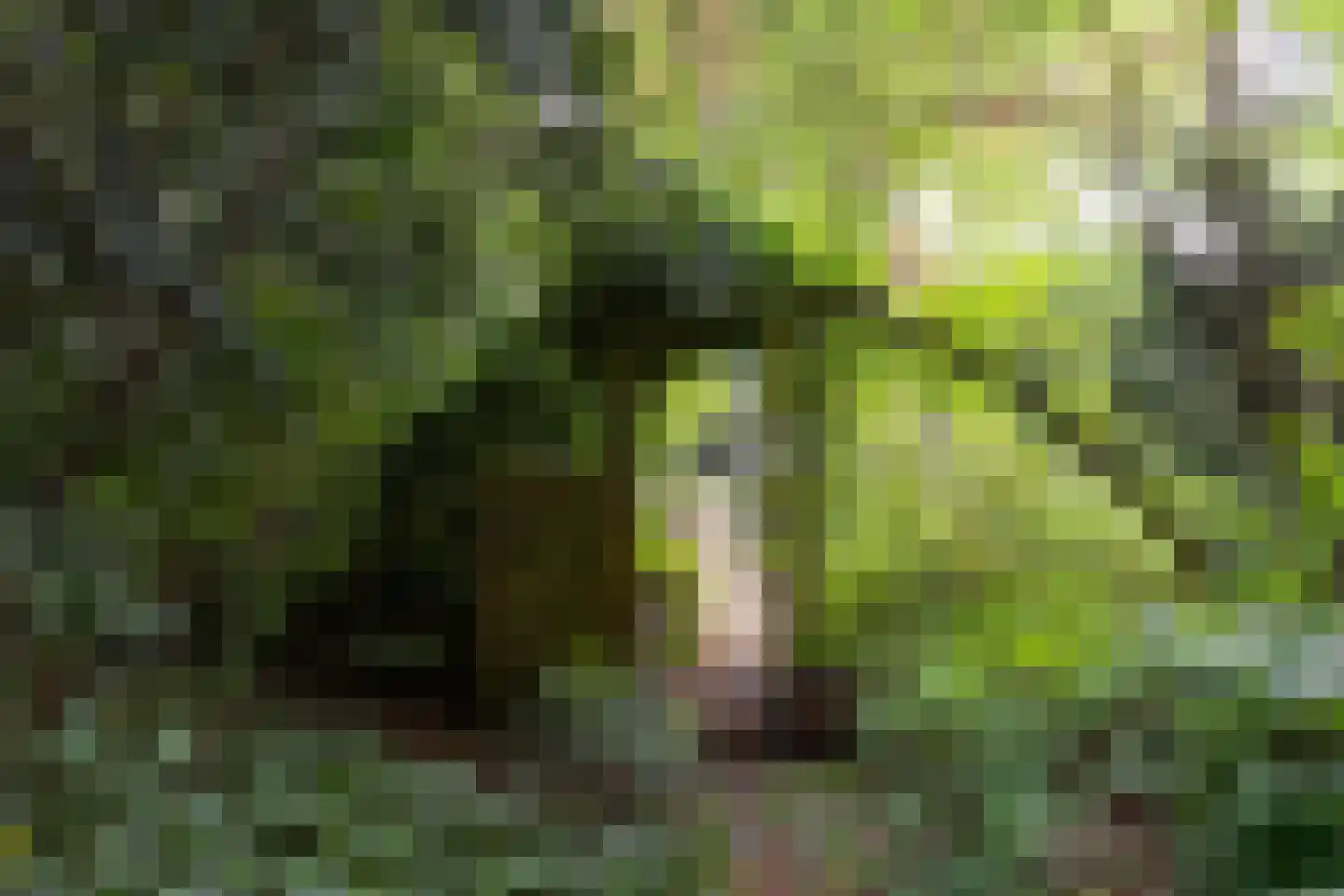 Berlagelaan 121 Bilthoven thumbnail 48