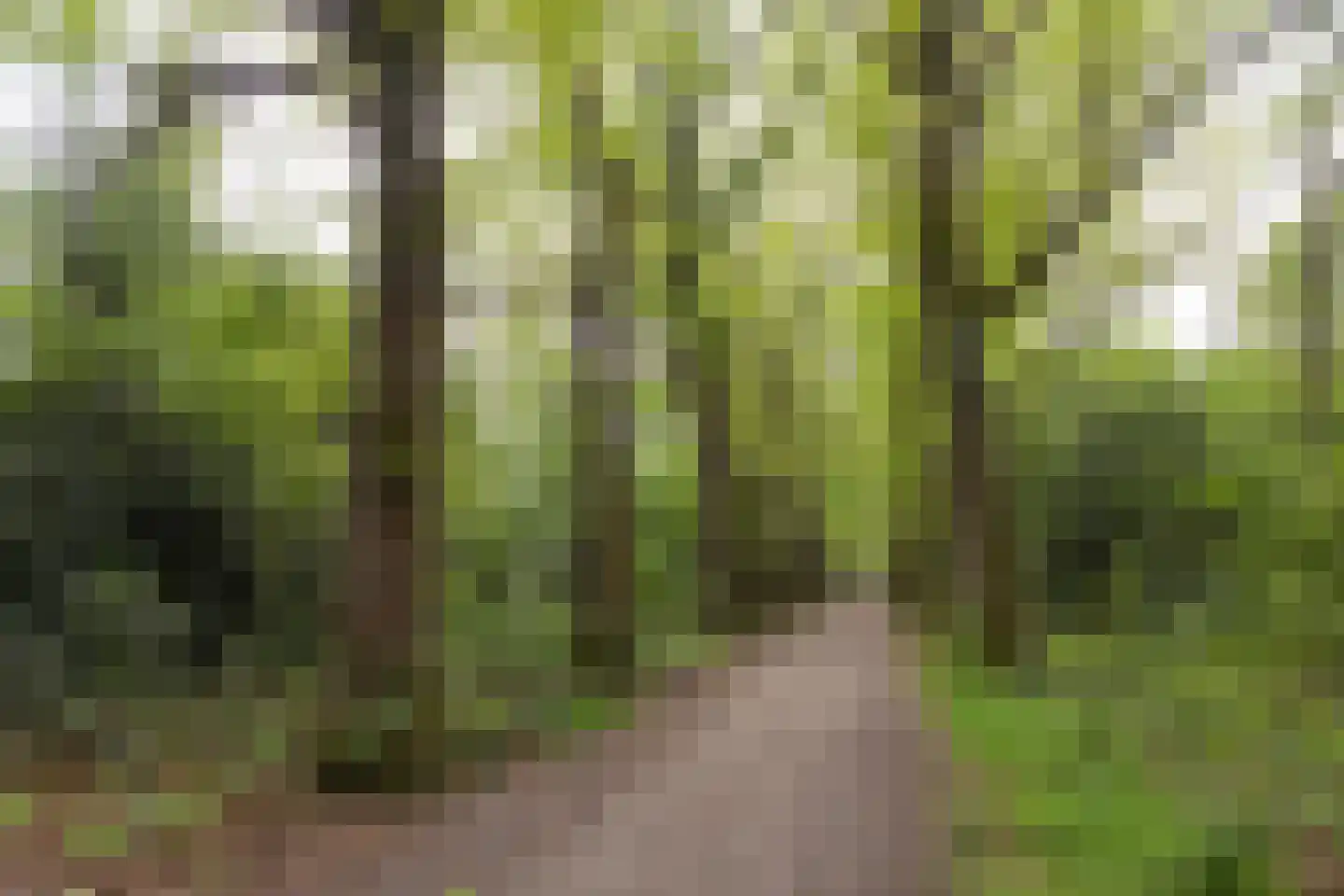 Berlagelaan 121 Bilthoven thumbnail 49
