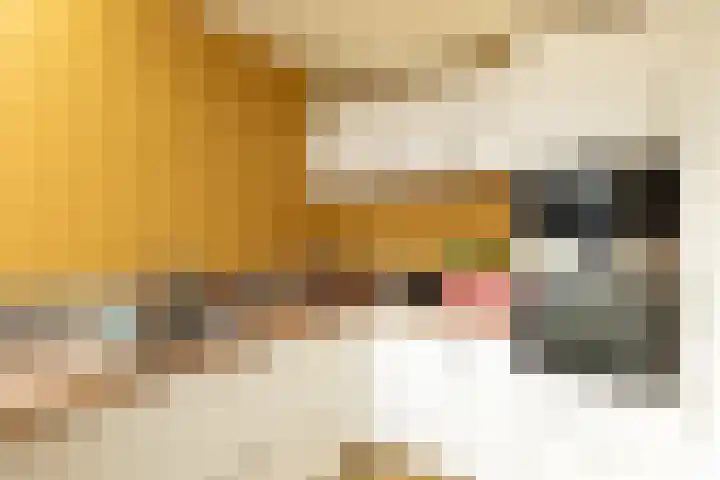 Berlagelaan 127 Hilversum thumbnail 13
