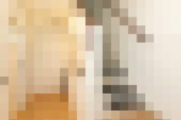 Berlagelaan 127 Hilversum thumbnail 15