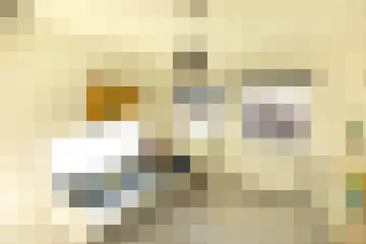 Berlagelaan 127 Hilversum thumbnail 19