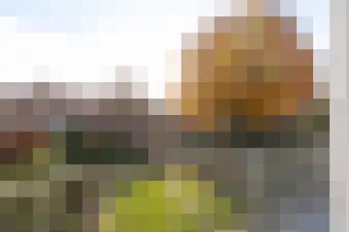 Berlagelaan 127 Hilversum thumbnail 28