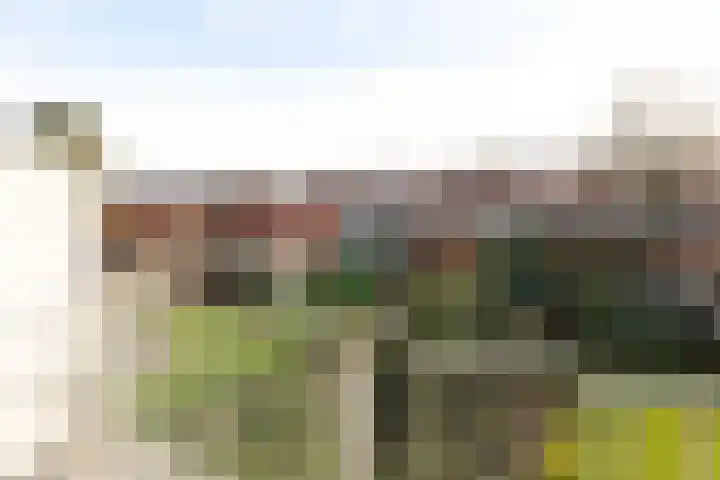 Berlagelaan 127 Hilversum thumbnail 29