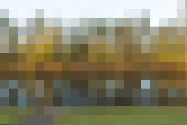 Berlagelaan 127 Hilversum thumbnail 30