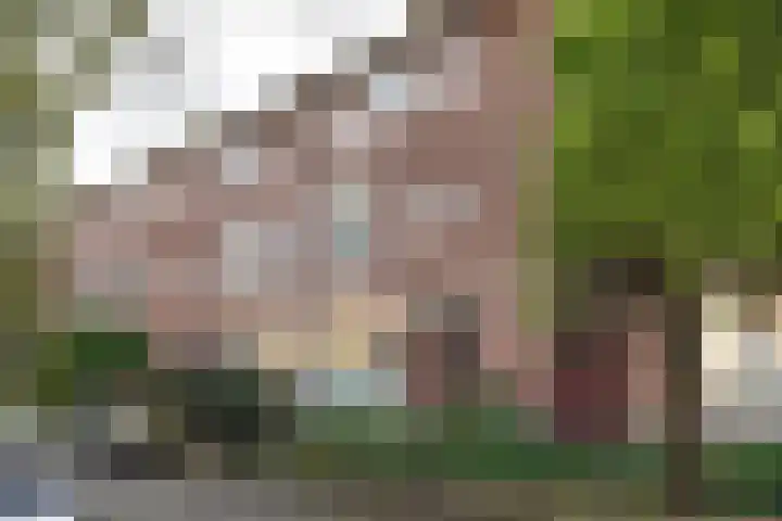 Berlagelaan 127 Hilversum thumbnail 32