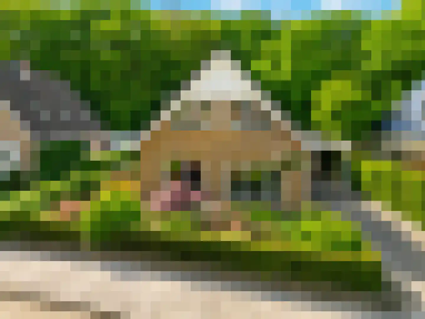 Berlagelaan 149 Bilthoven