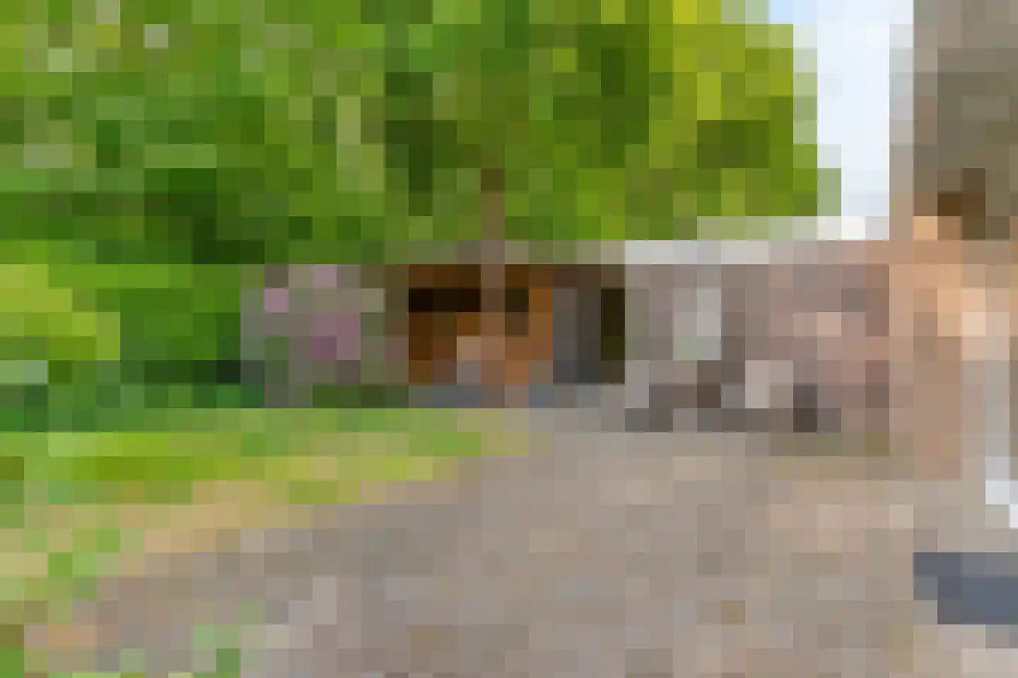 Berlagelaan 149 Bilthoven thumbnail 31