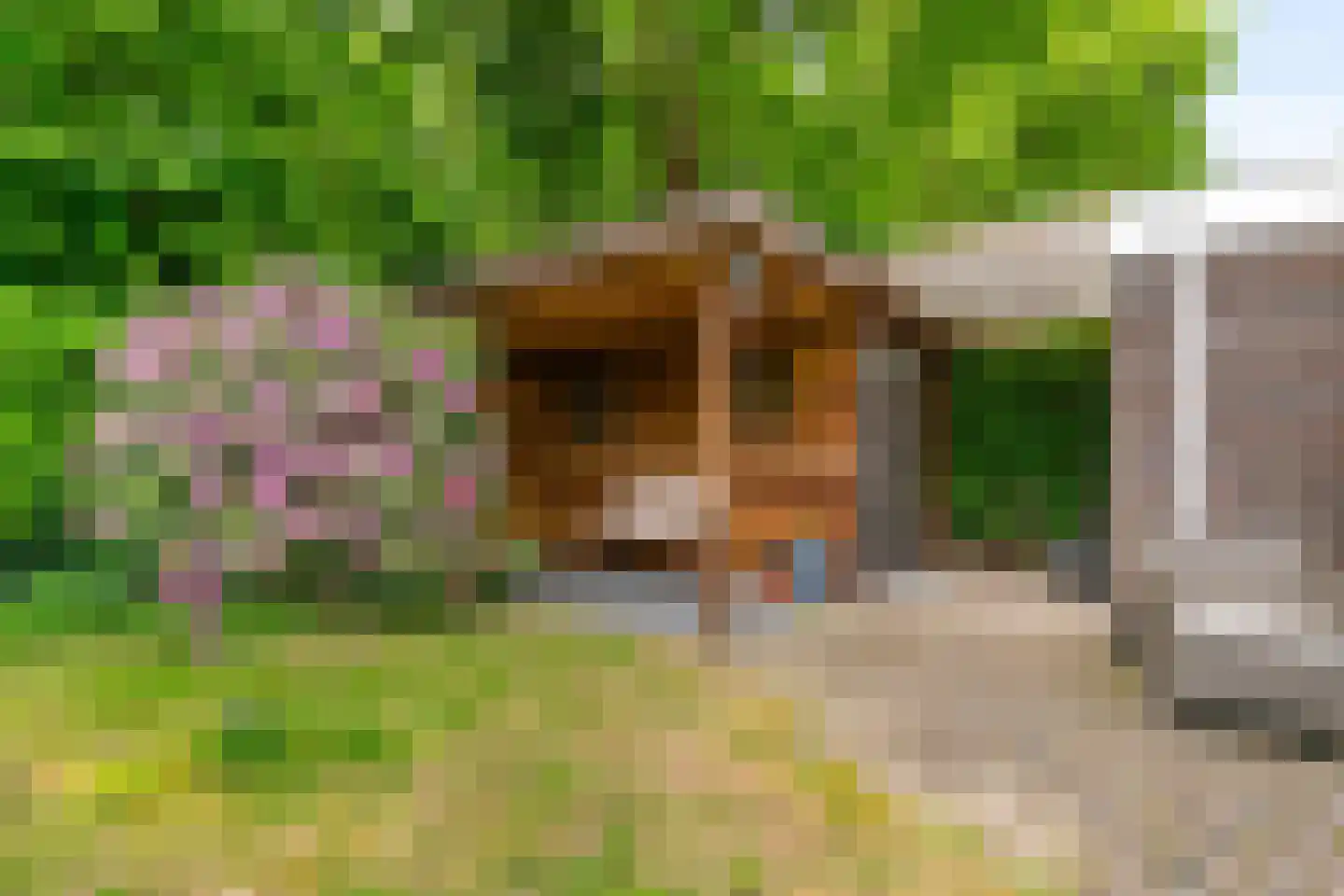 Berlagelaan 149 Bilthoven thumbnail 32