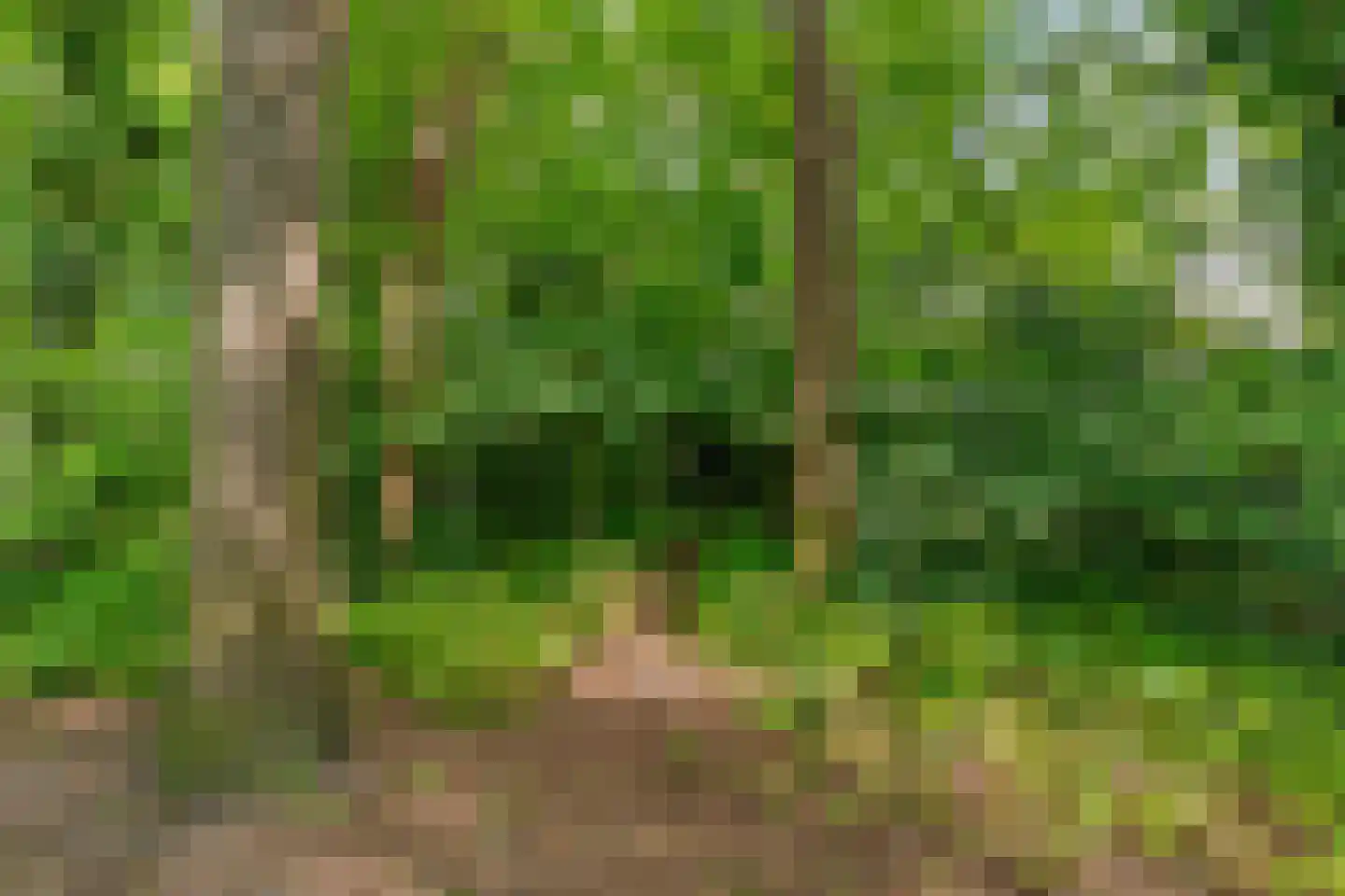 Berlagelaan 149 Bilthoven thumbnail 42