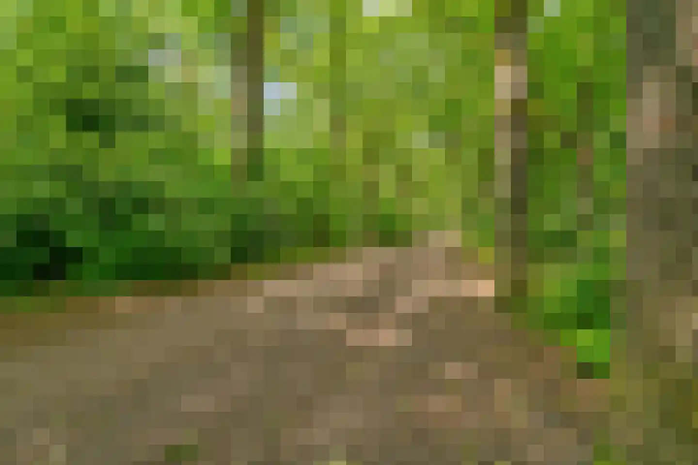 Berlagelaan 149 Bilthoven thumbnail 49