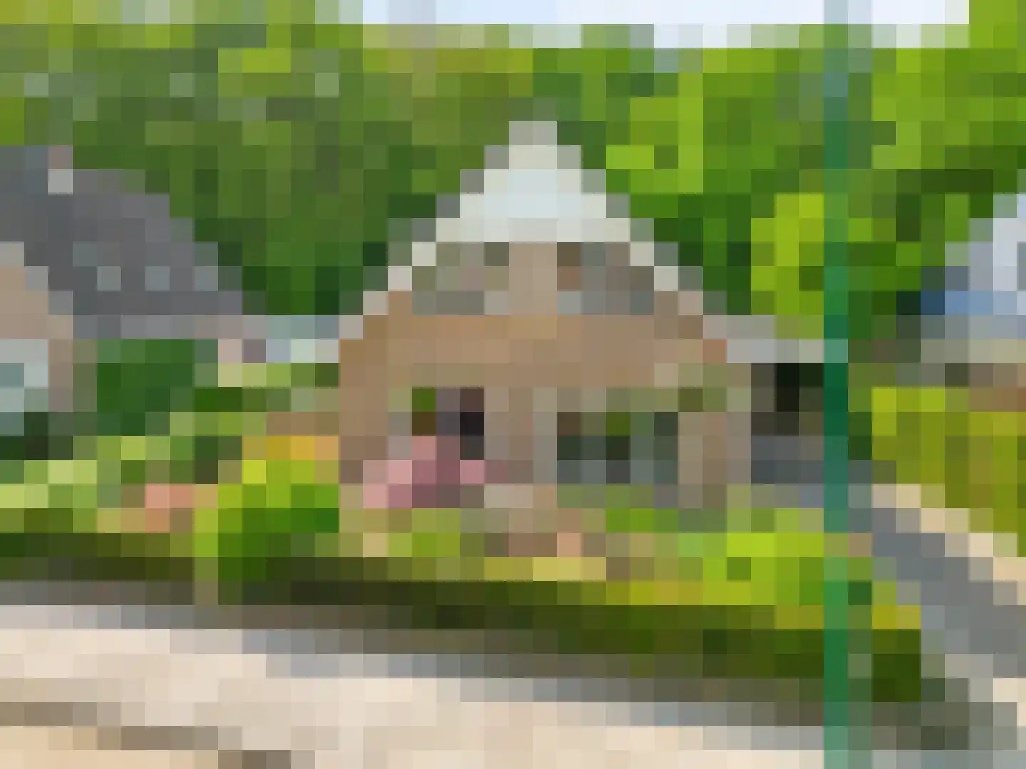 Berlagelaan 149 Bilthoven thumbnail 6