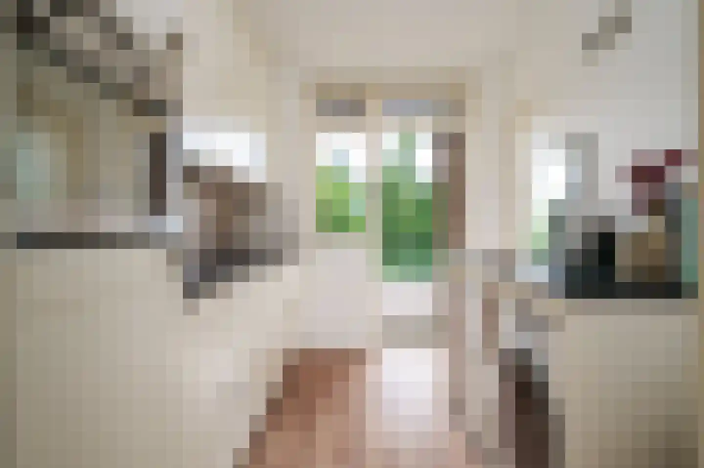 Berlagelaan 183 Hilversum thumbnail 16