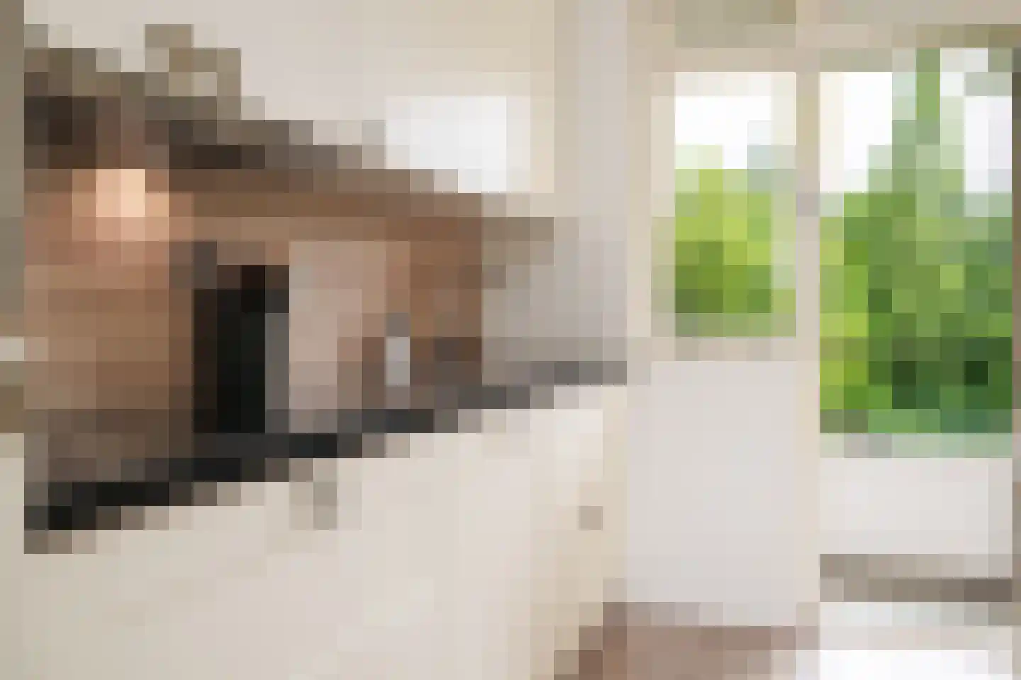 Berlagelaan 183 Hilversum thumbnail 17