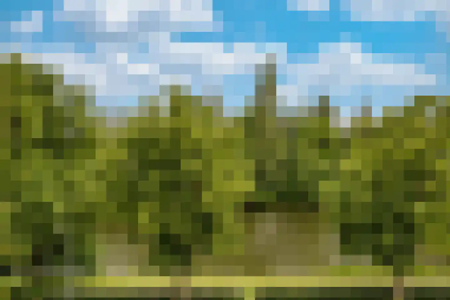 Berlagelaan 183 Hilversum thumbnail 19