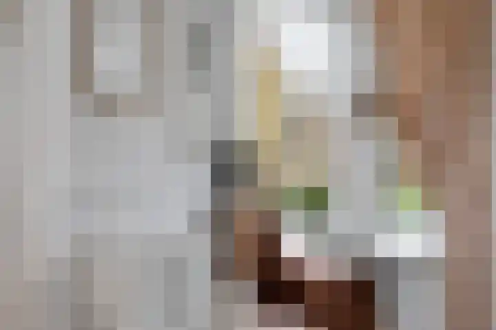 Berlagelaan 193 Hilversum thumbnail 16