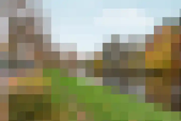Berlagelaan 193 Hilversum thumbnail 45