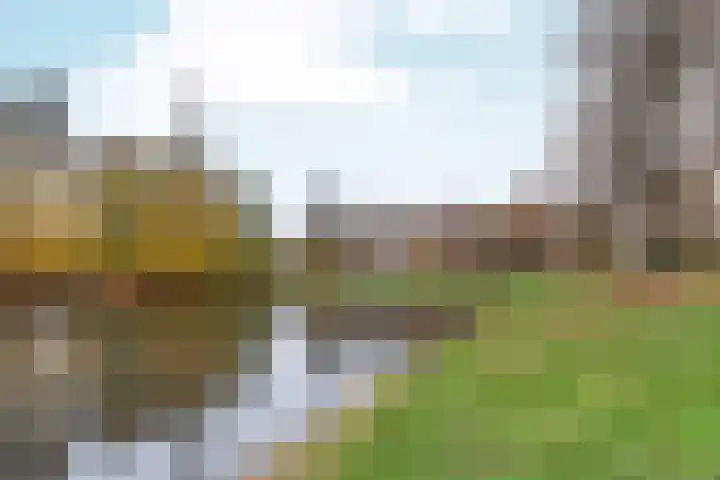 Berlagelaan 193 Hilversum thumbnail 46